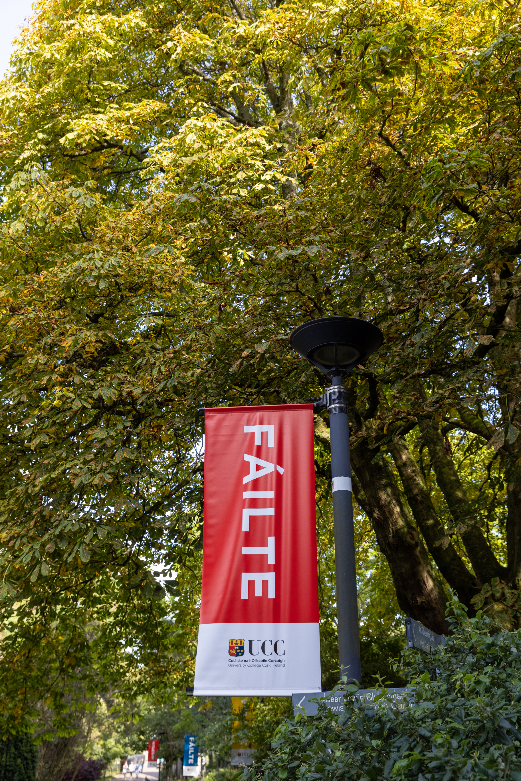 UCC ranked as one of the most sustainable universities in the world.