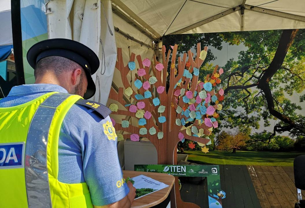 Bord Bia Bloom's favourite tree