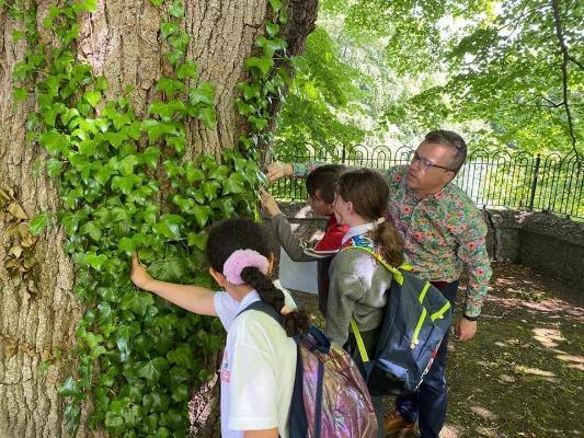 Gaelscoil Chorain visit UCC Arboretum