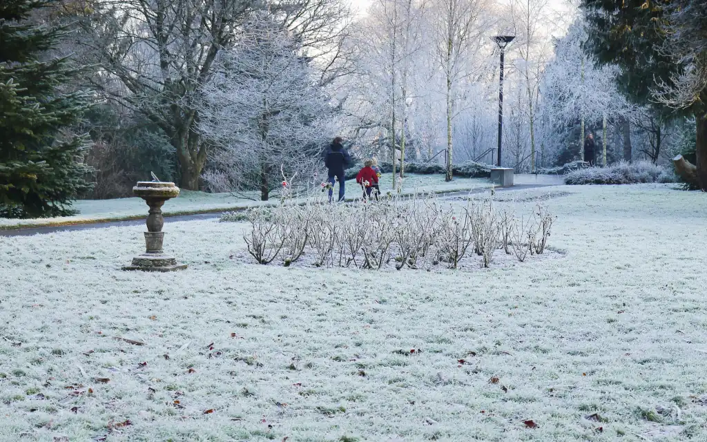 A winter scene as a parent and children walk through a frost covered Presidents Garden in UCC