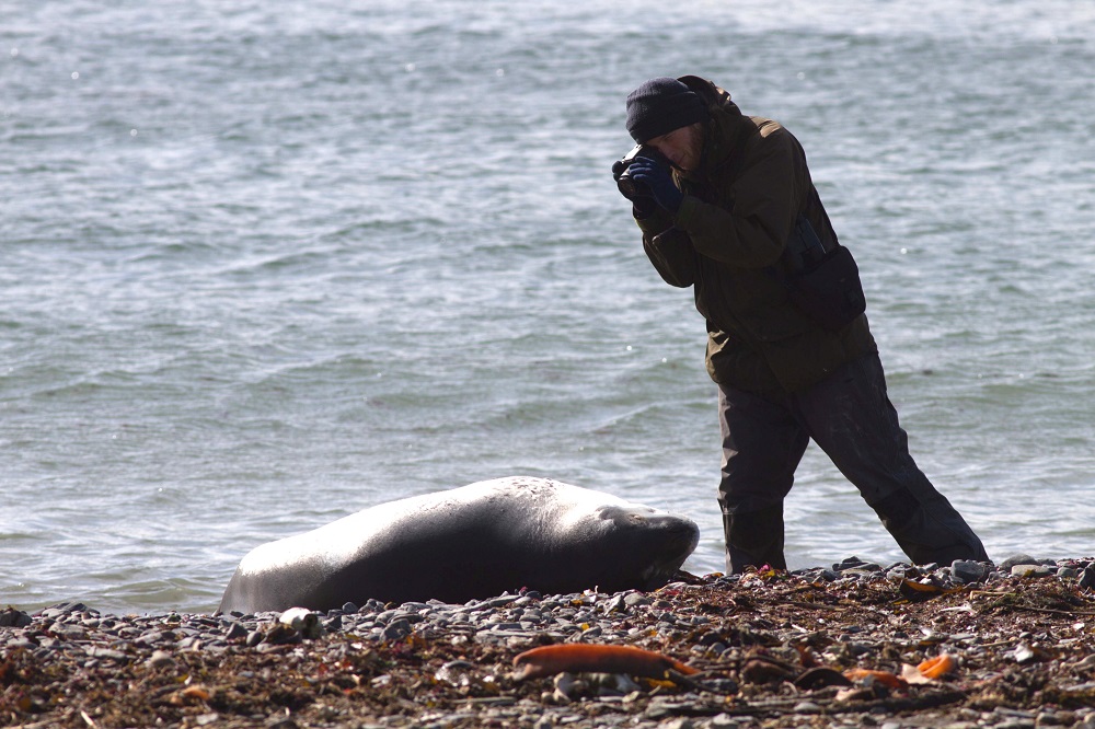 Saving Ireland's seals with GPS