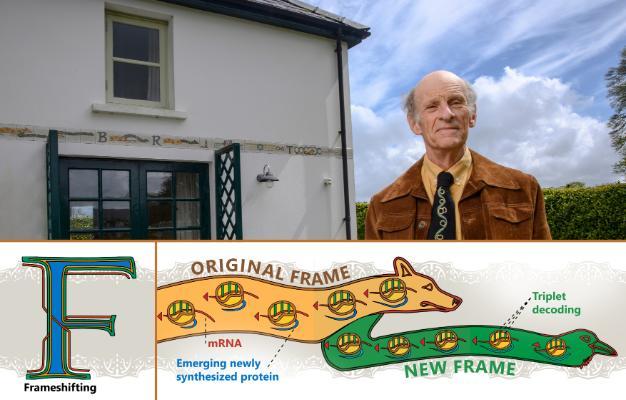 Professor John Atkins standing next to a building which is encircled with tiles that illustrate ‘Frameshifting’ and other types of decoding versatility. Use of the head motif to indicate decoding Directionality was inspired by the 1200 year old Book of Kells. 