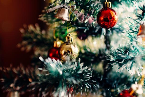How to stay COVID safe at home this Christmas 