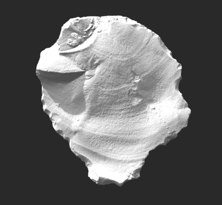 3D laser scan of the flint, with raked lighting to show surface features. (University of Bradford)