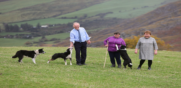 UCC launches social farming course