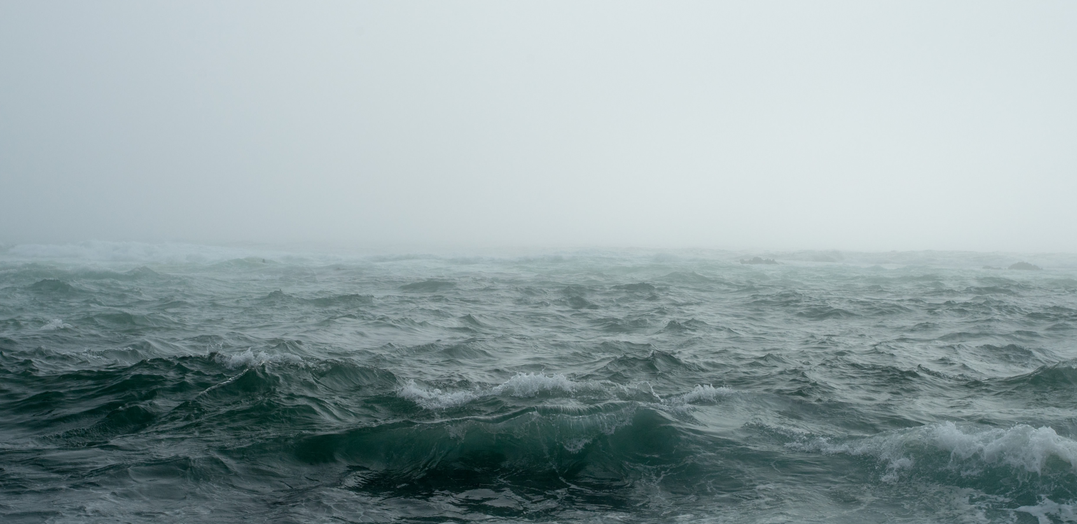Evidence of lost prehistoric settlement in the North Sea found