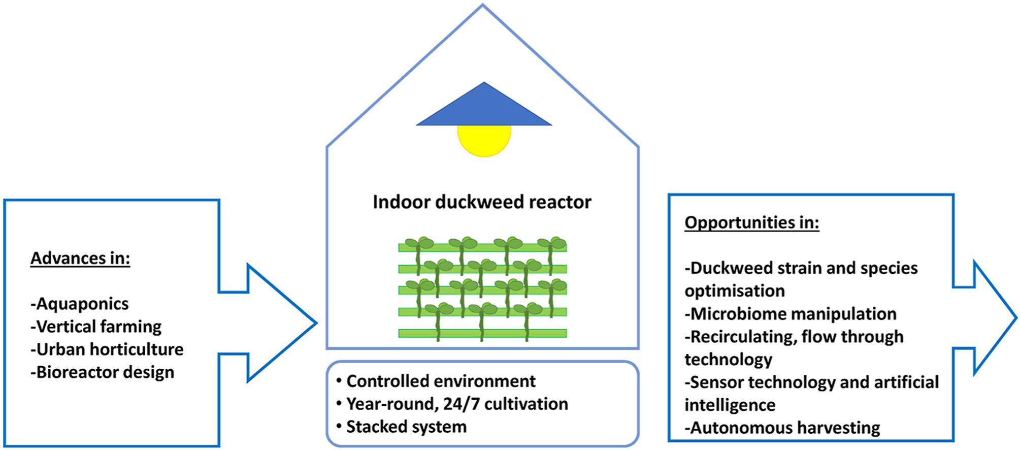 Research identifies 6 steps to advance innovative indoor duckweed cultivation