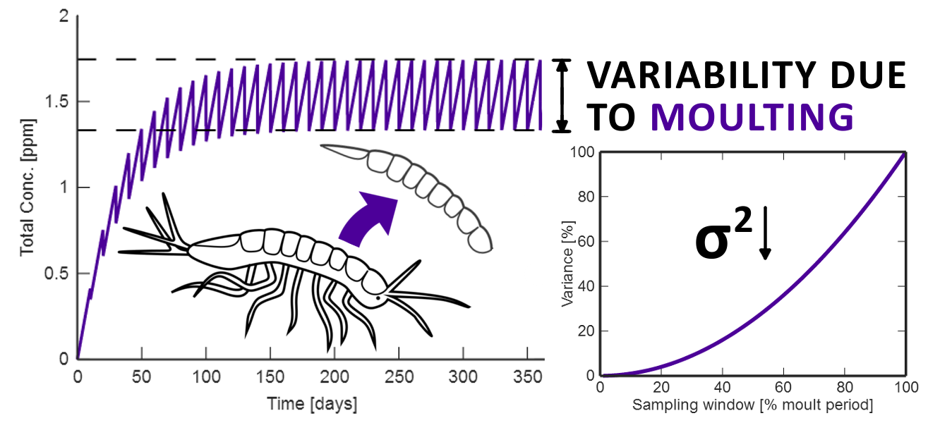 New article in Journal of Crustacean Biology by Dr Tim Sullivan and Irene O'Callaghan!