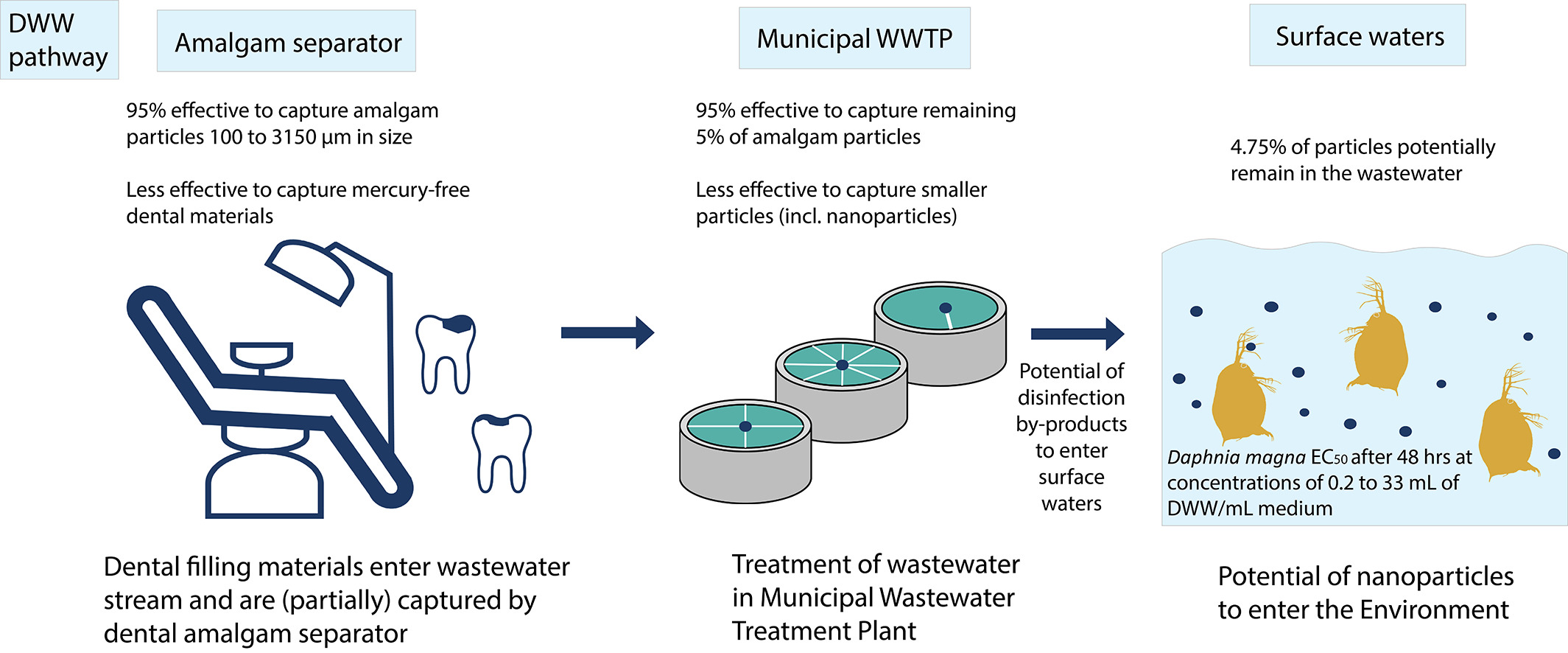 New article in Science of the Total Environment by Dr Tim Sullivan and Hannah Binner!