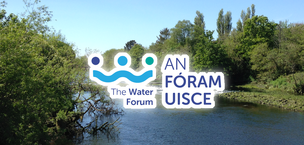 Irene O'Callaghan awarded an Early Stage Researcher Bursary from An Fóram Uisce!