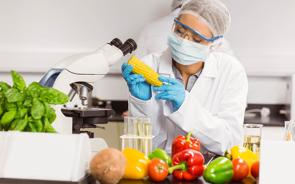 Scientist investigates food