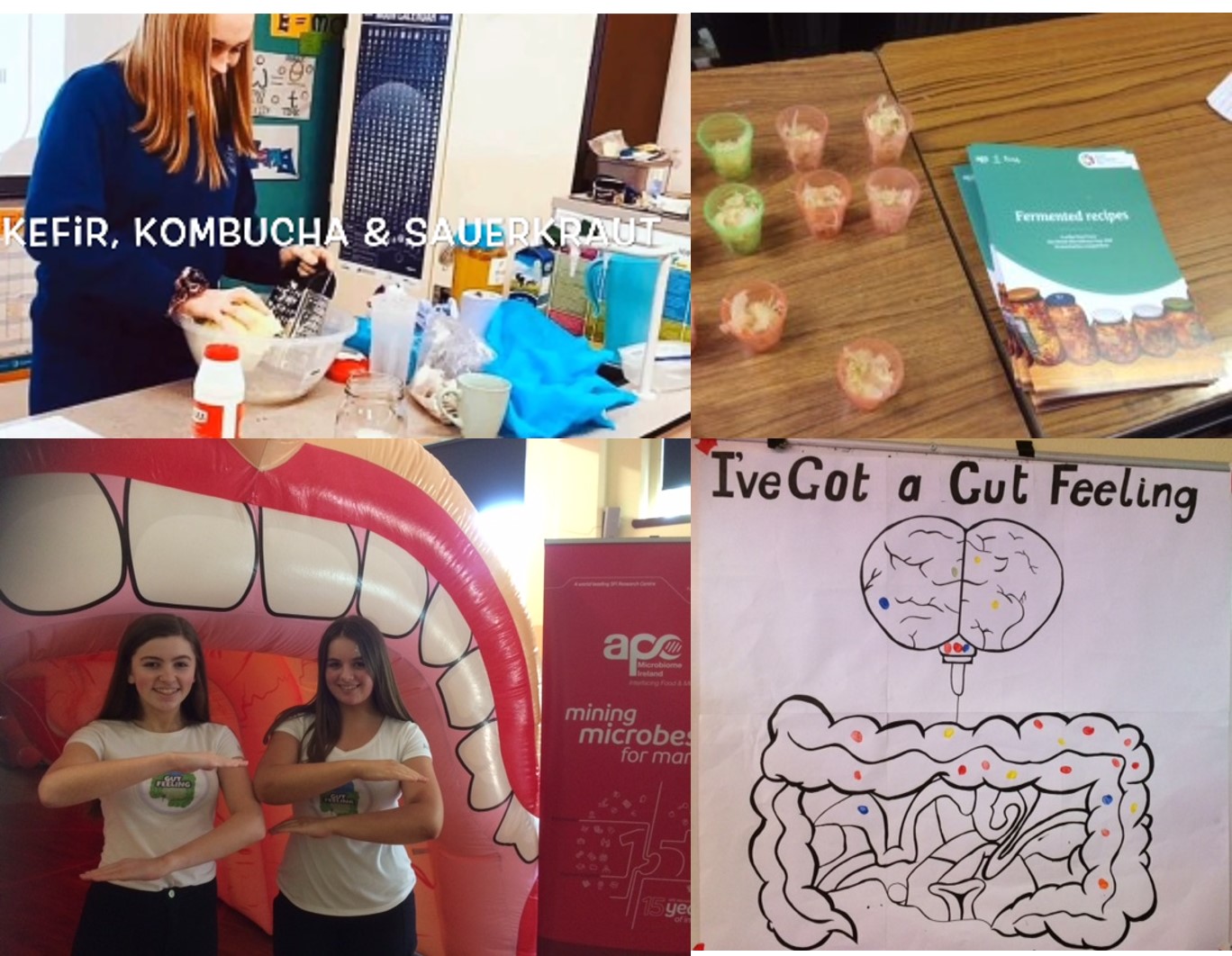 Young Social Innovators