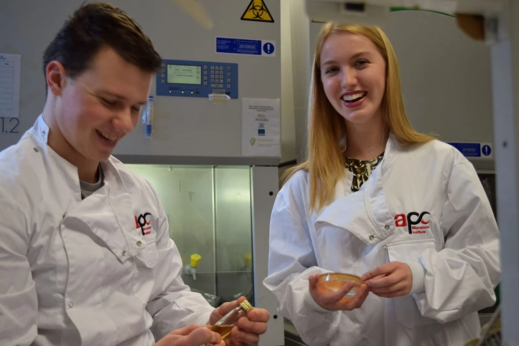 Summertime And APC Labs Are Where You Should Be!