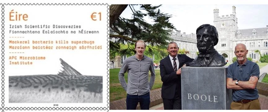 A Stamp Of Approval
