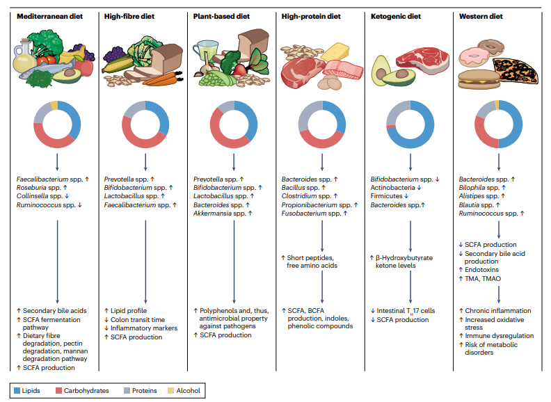 APC study finds Western diets pose greater risk of cancer and IBD