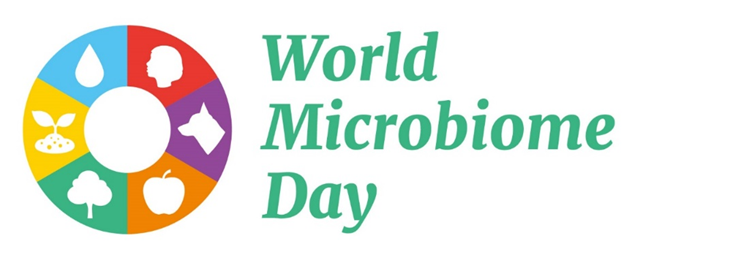 Discover The Diverse World Of Microbes 