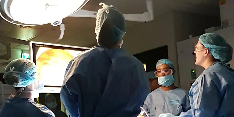 ENDOSCOPIC SINUS and SKULL BASE COURSE