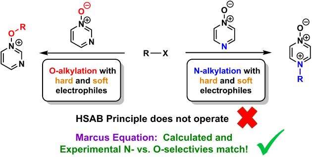 Ambident reactivity of diazine N-oxides