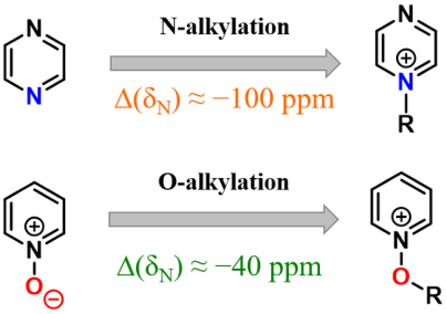 Identification of N‐ or O‐Alkylation of Aromatic Nitrogen Heterocycles and N‐Oxides Using 1H–15N HMBC NMR Spectroscopy