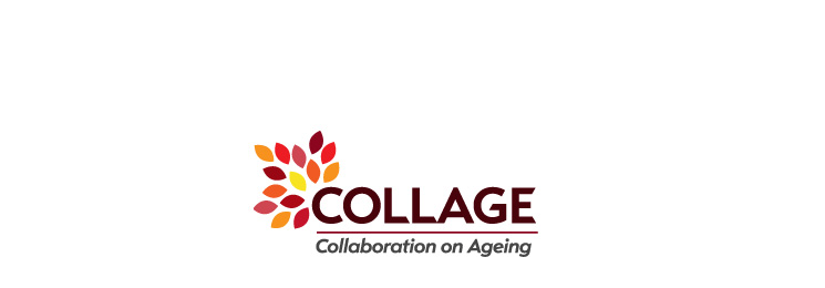 European Innovation Partnership on Active and Healthy Ageing