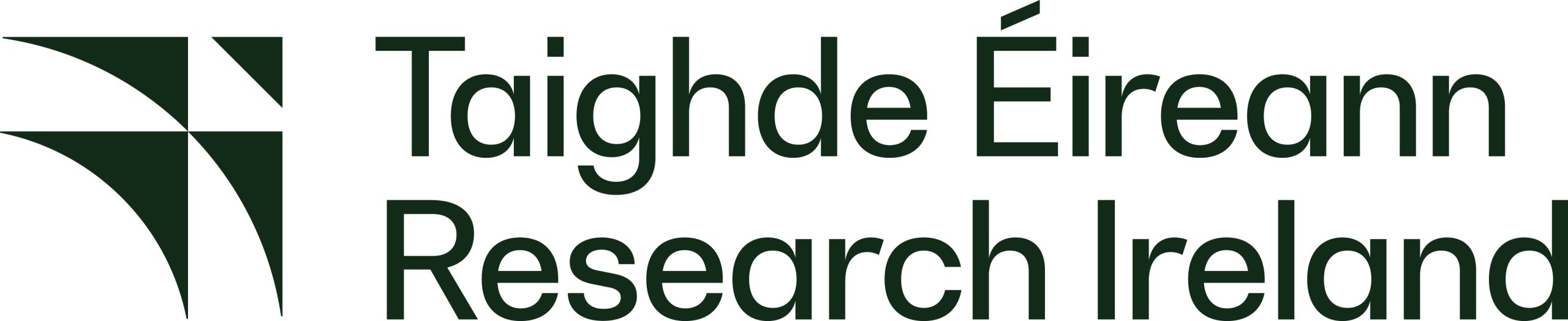 Taighde Éireann - Research Ireland logo