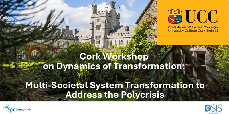 DSIS Workshop on Dynamics of Transformation