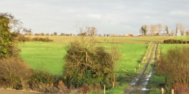 Farm visit Clonmel