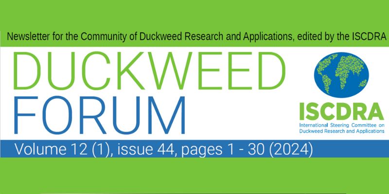 Duckweed Forum Issue 44