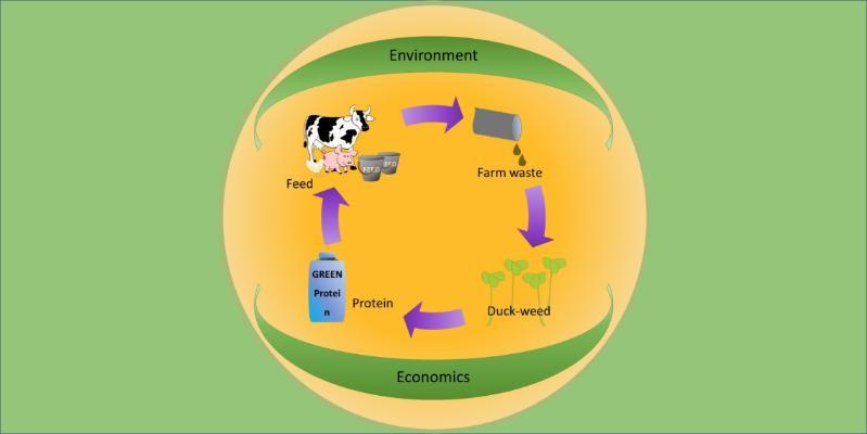 The Duck-Feed Project at the BioEconomy Research Symposium