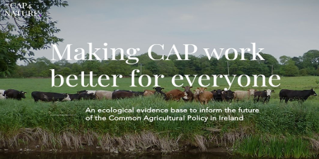 Launch of the CAP4Nature website aims to make CAP funding work both for farmers and wildlife  