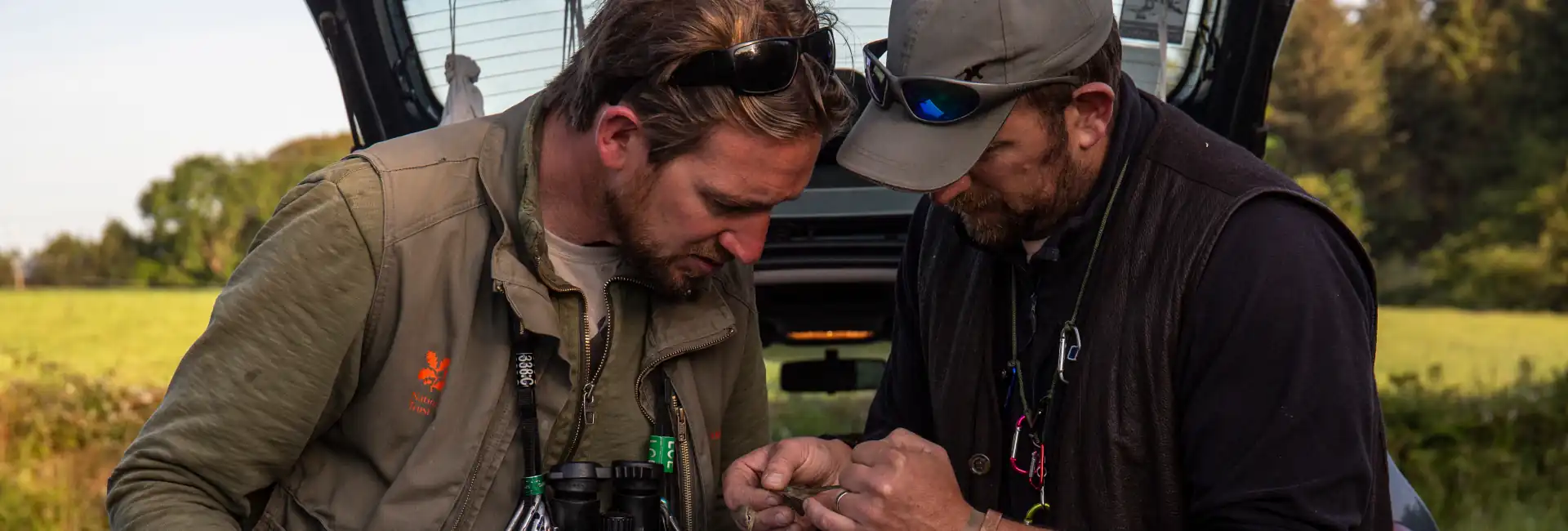 Researchers in the field examine a bird wing