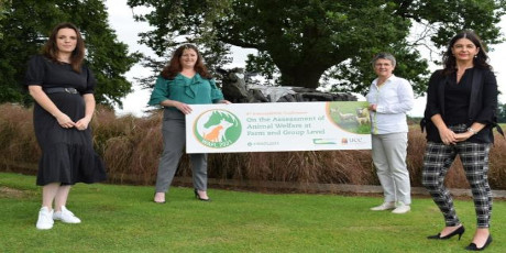 Pictured on the first day of the 8th International Conference on the Assessment of Animal Welfare at Farm and Group Level (WAFL), are Dr. Amy Quinn (Teagasc Moorepark), Dr. Keelin ODriscoll (Teagasc Moorepark), Dr. Fidelma Butler (School BEES/ERI, UCC) and Dr. Laura Boyle (Teagasc Moorepark). 