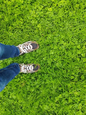 A person wearing blue jeans and trainers stands on green vegetation A person wearing blue jeans and trainers stands on green vegetation