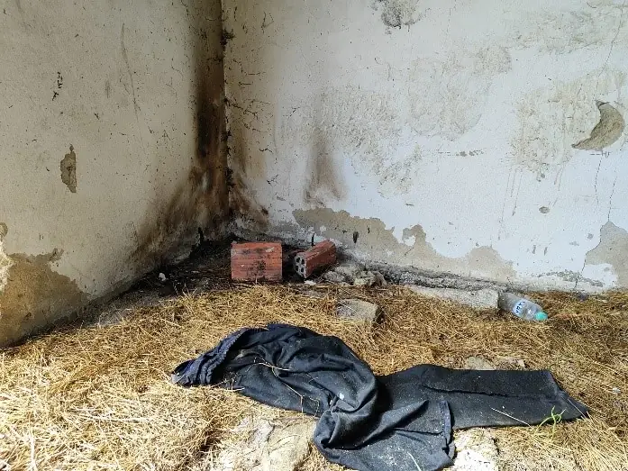 Concrete room withstraw strewn on floor