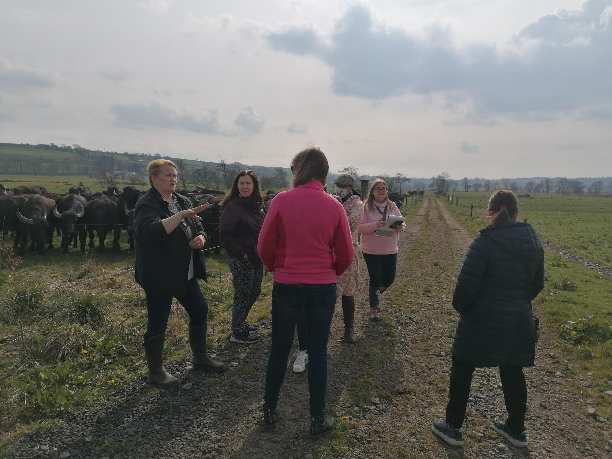 Diploma in Speciality Food Production enjoy a tour of Macroom Buffalo Farm