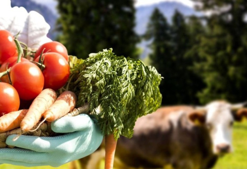Postgraduate Certificate in Sustainable Food Systems (Part-time)