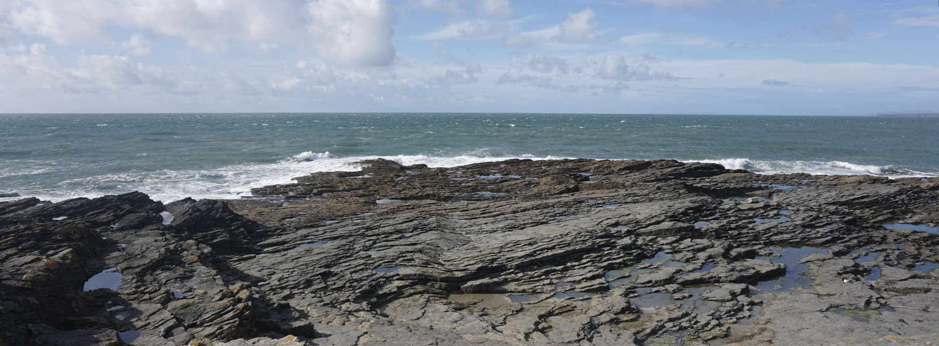 Learn what fossils are and where to see them!