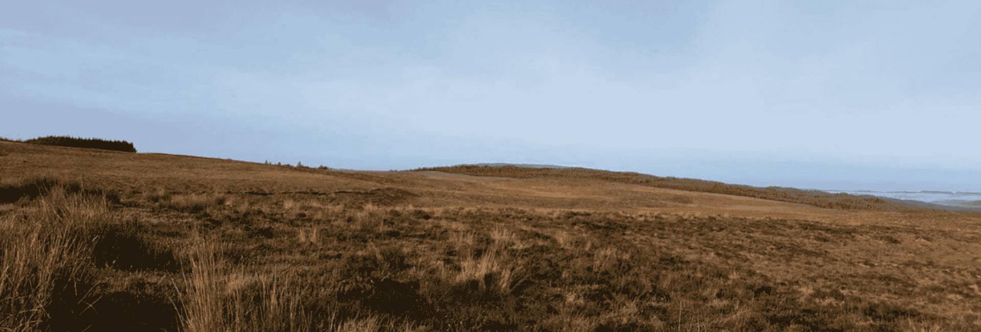 Dr Eugene Costello discusses the history of commonage