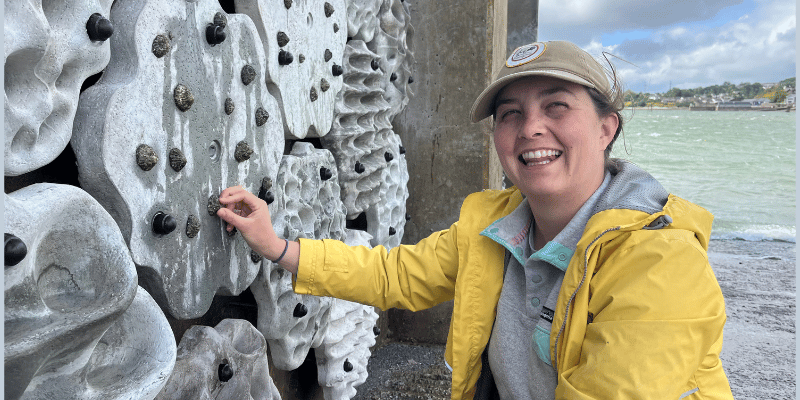Second Living Seawall installed in Cork Harbour