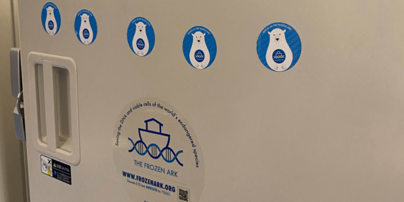 Two year British Academy funded project on Cryoconservation and Frozen Biobanking concludes