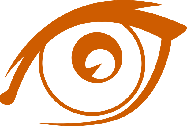 Jean Monnet Teacher Training grant - EYESonEU