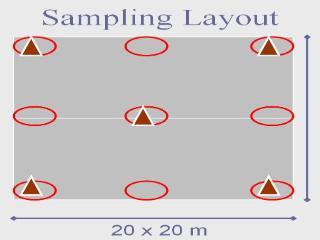 Sampling Layout