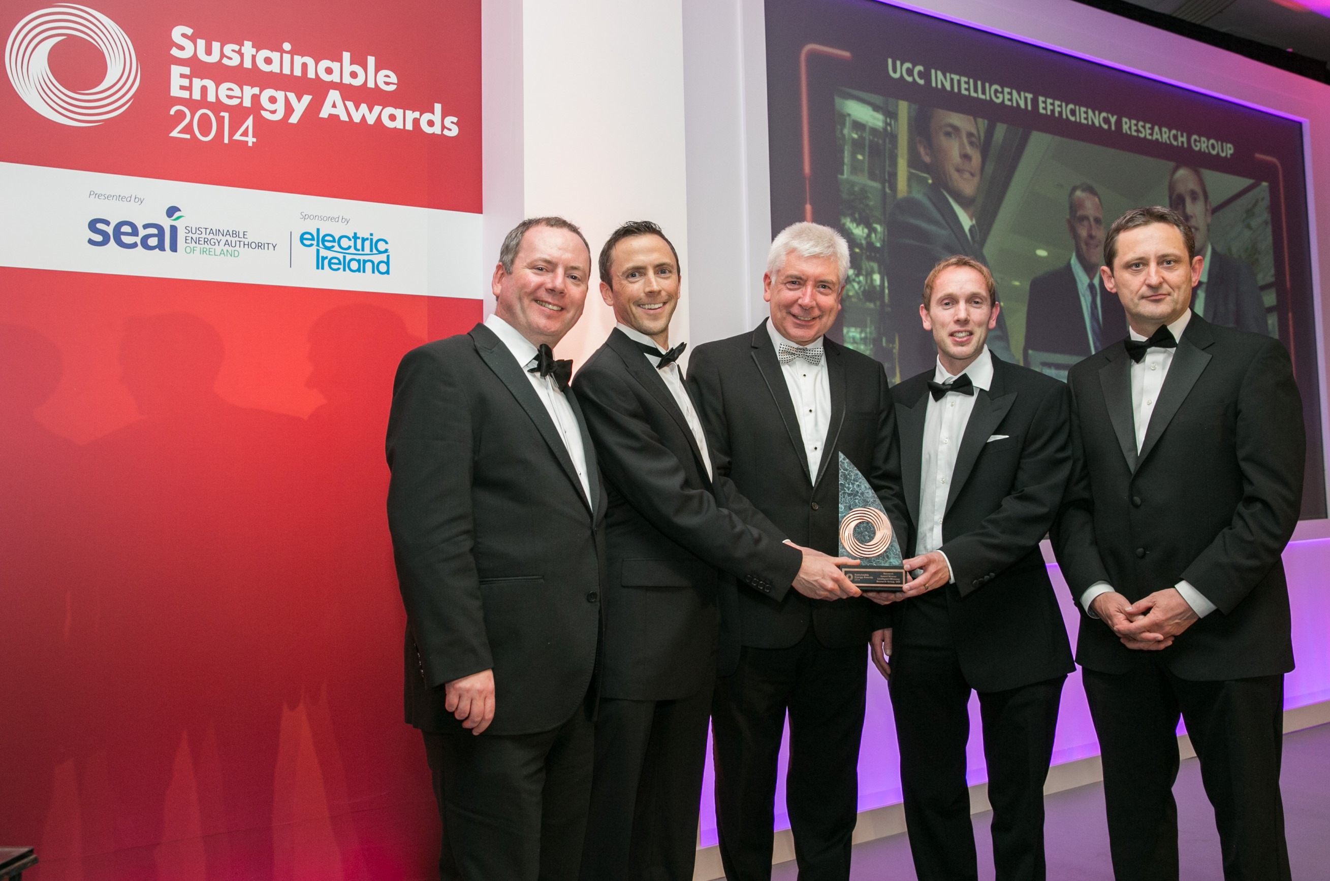 IERG Project Wins SEAI Research Award 2014