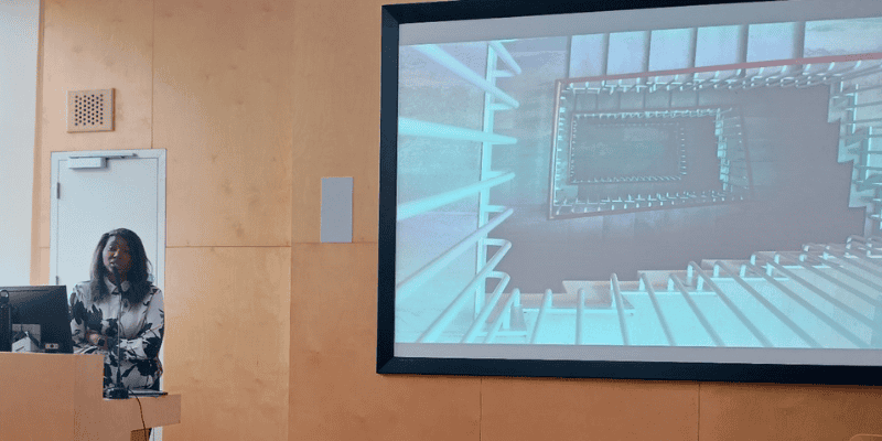 A woman presenting in The Shtepps, UCC at the Unconference Event