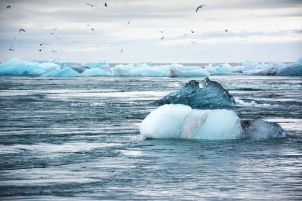 Let's Talk About Climate Change