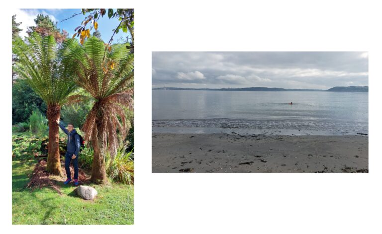 Daniel in west cork under palm trees and on a beach