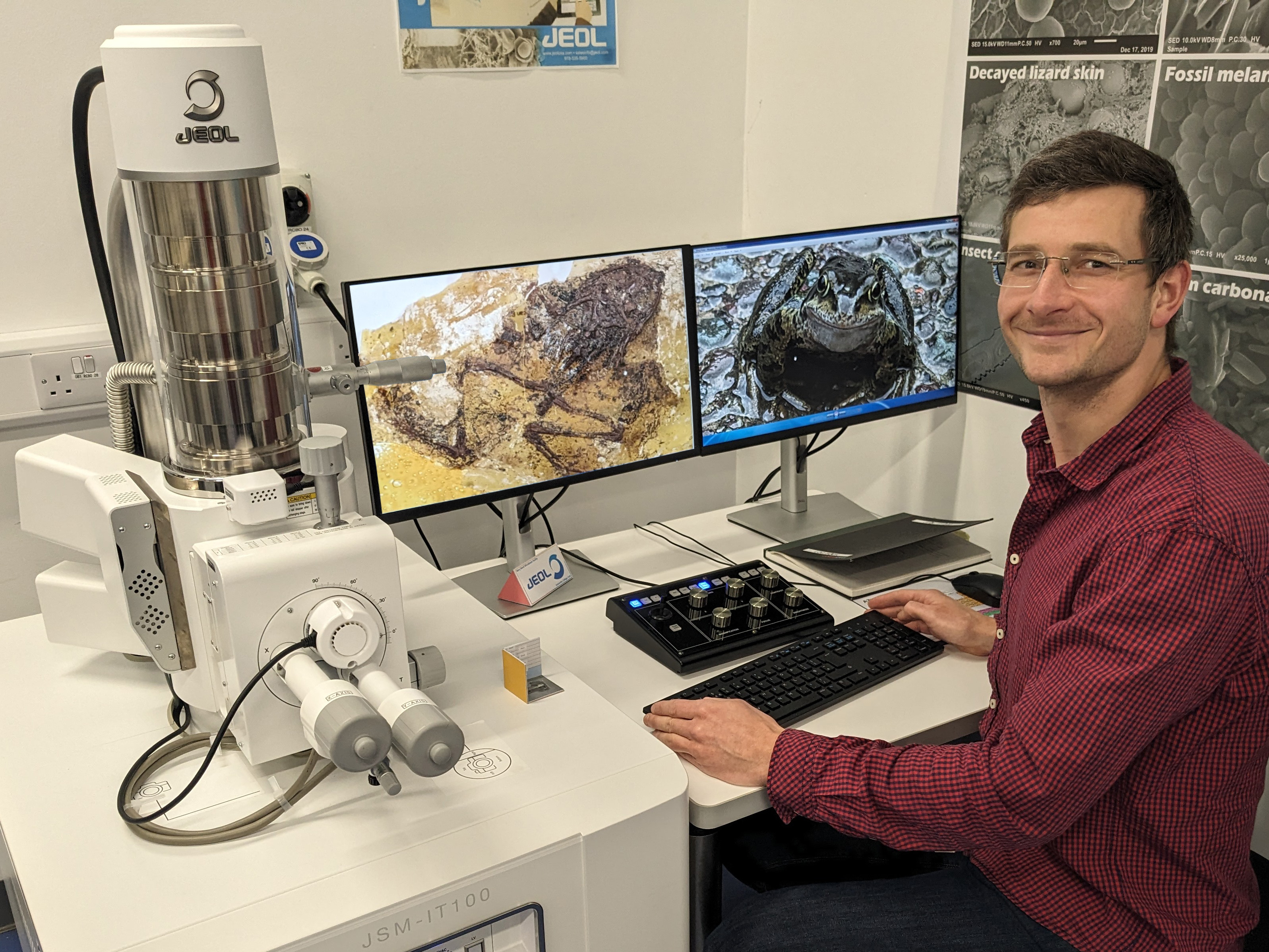 Daniel Falk examines the fossil skin samples of a Geiseltal frog with an electron microscope. Photo: D. Falk