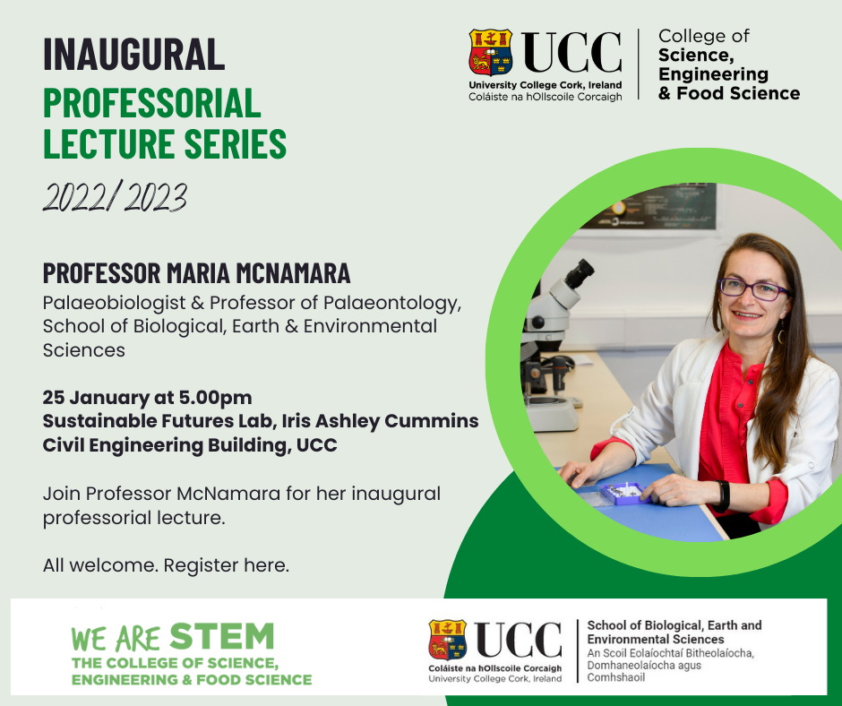 Maria delivers Inaugural Professorial Lecture at UCC