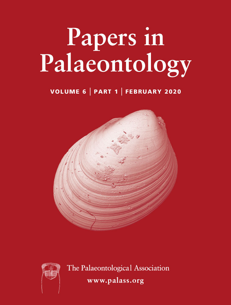 Tiffany's new publication in Papers in Palaeontology!