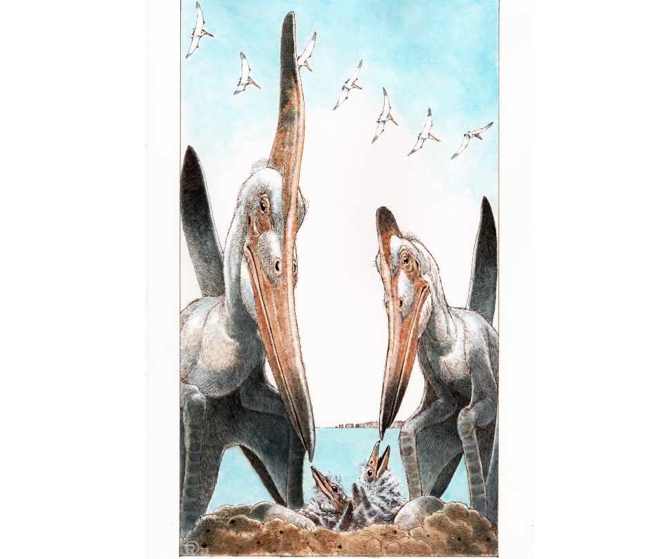 NEW! Zixiao publishes new paper on pterosaurs in Proceedings B!